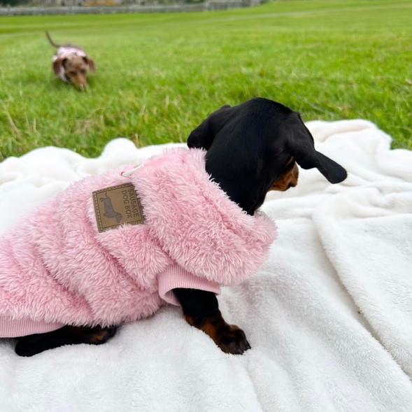 XXS Tiny Puppy Snuggle Dachshund Fleece - 20cm / 8inch Back | Sausage Dog Box 6
