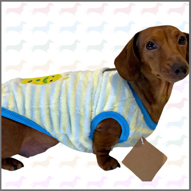 Speedy Snail - Sausage Dog Box Dachshund PJ's/Jumper 0