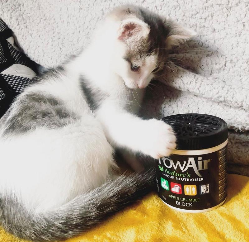 Product Introduction of PowAir Pet Odour Neutralising Block 8