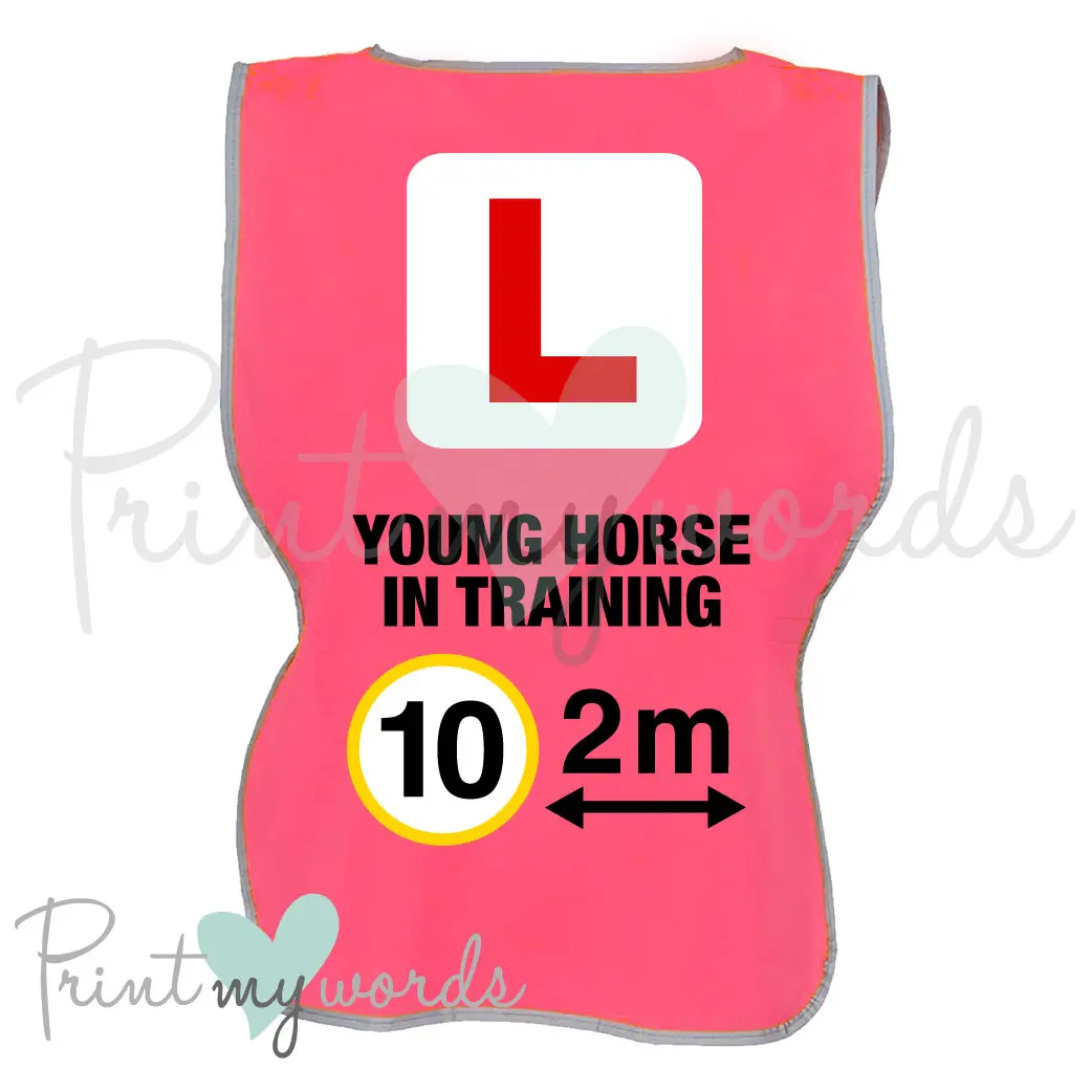 DOUBLE SIDED High Visibility Hi Vis Equestrian Reflective Vest Tabard Waistcoat L PLATE, YOUNG HORSE, 10MPH 2M