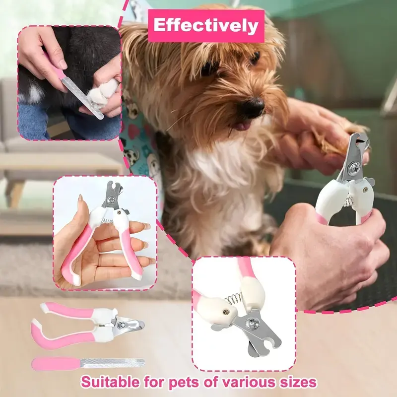 10-Piece Pet Grooming Kit with Self-Cleaning Slicker Brush, Nail Clippers, File, Eye Comb, Flea Comb, Silicone Toothbrush & Shampoo Massage Brush for Dogs and Cats - Stainless Steel Tools