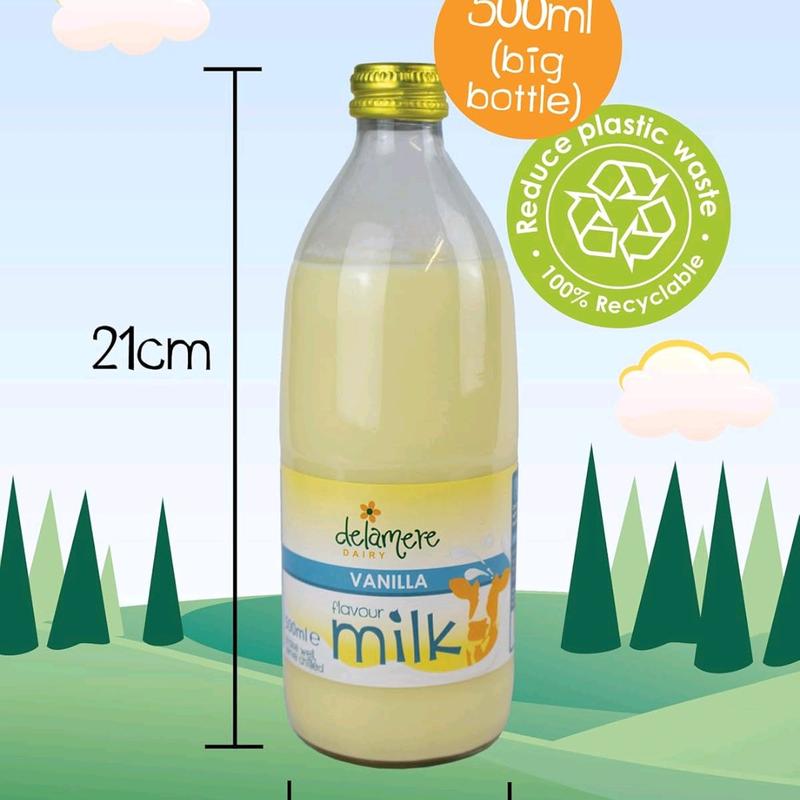 DELAMARE Flavoured Milk 500ml x 6 (6 Pack) - 6 Different Flavours Available - Milk flavoured Beverage 3