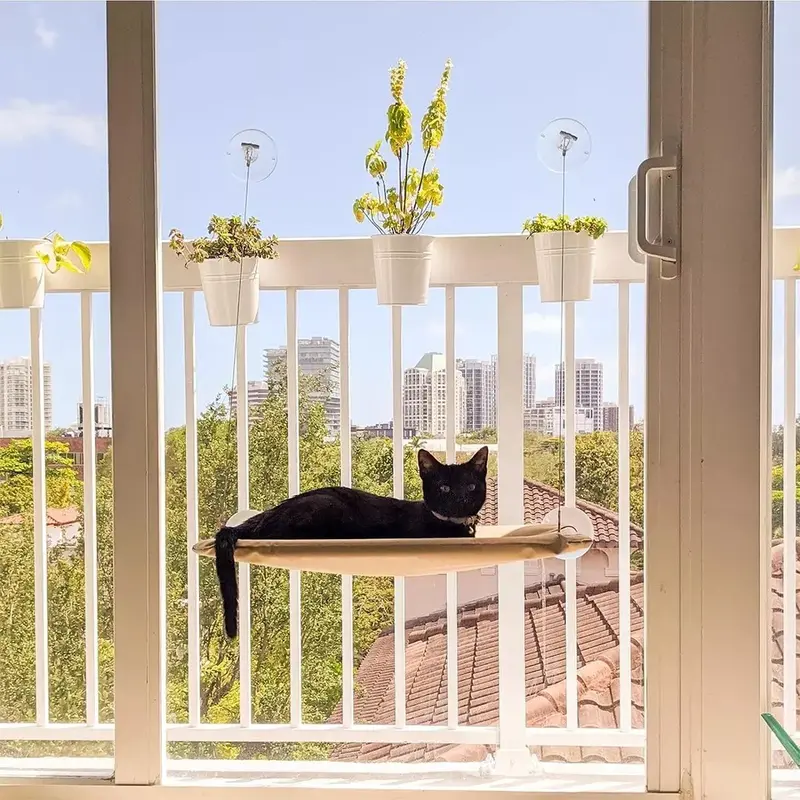 Pet Cat Window Hammock Perch Bed , Durable Seat for Cats, Holds Up to 20KG 4