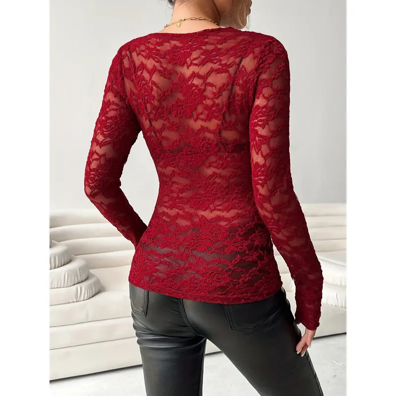 Sheer Lace V Neck T-Shirt, Stylish Long Sleeve Slim Top, Women's Clothing 4