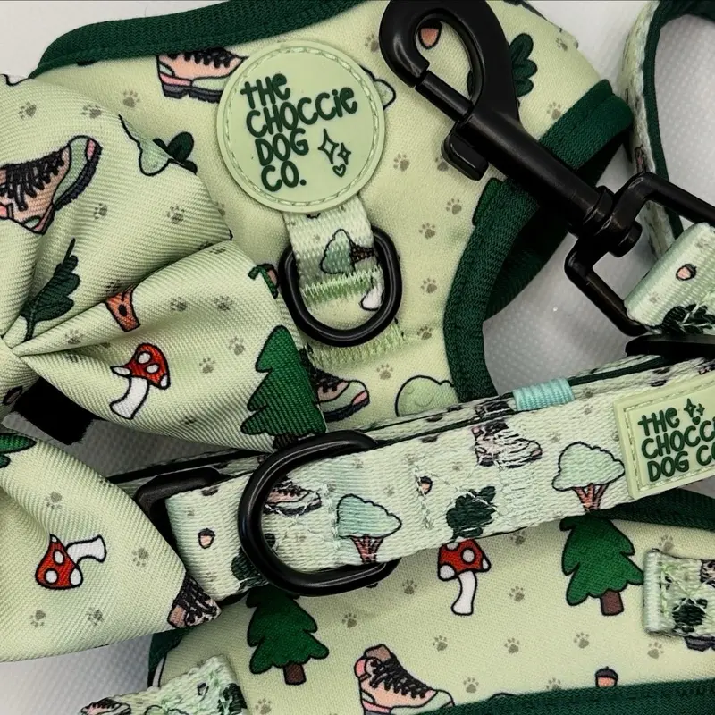 The Choccie Dog Co 'The Great OutPaws' Neoprene Dog Walking Harness - Perfect for Walks with Your Canine Companion