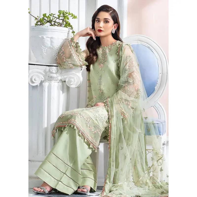 Calina - Meeral Readymade Organza Suit 3