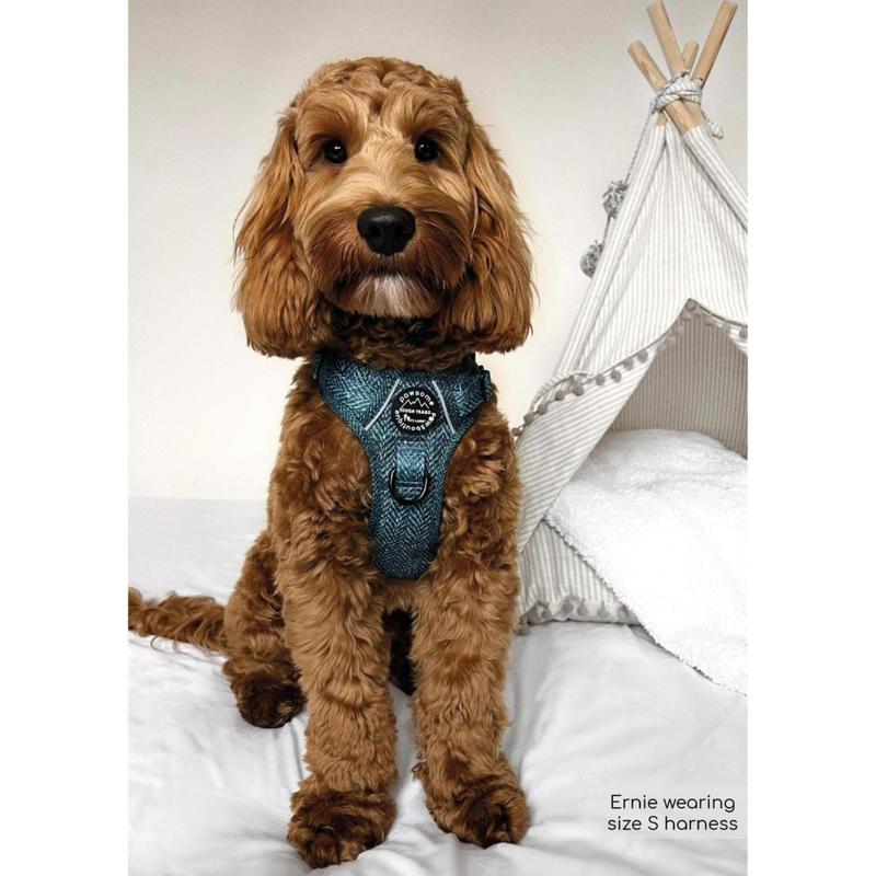 Tough Trails™ Harness - Country Teal 5