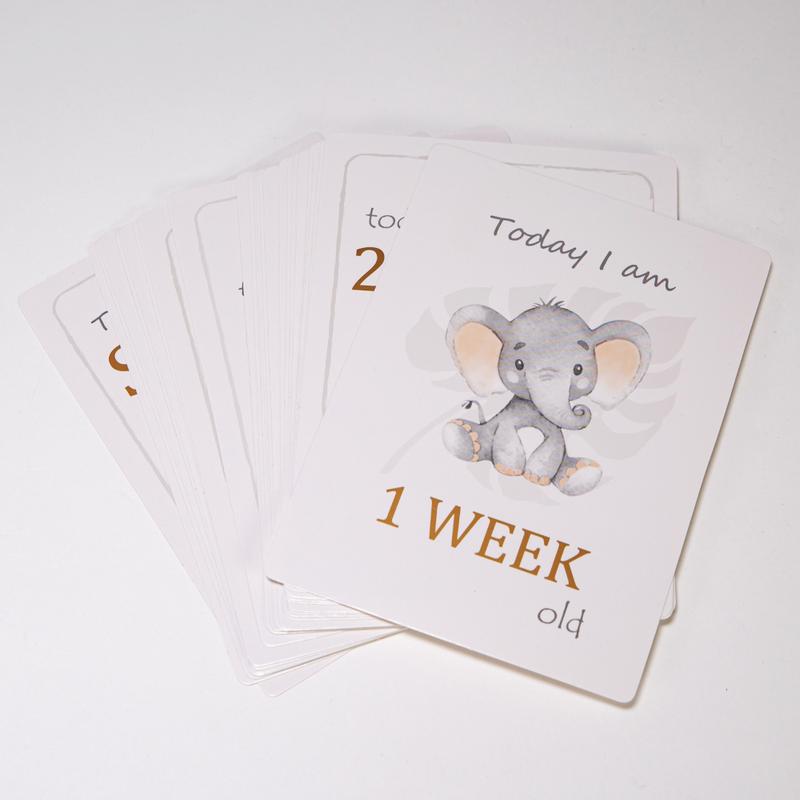 Cute Unisex Baby Elephant Grey Quirky and Fun Set of 24 Milestone Cards 3