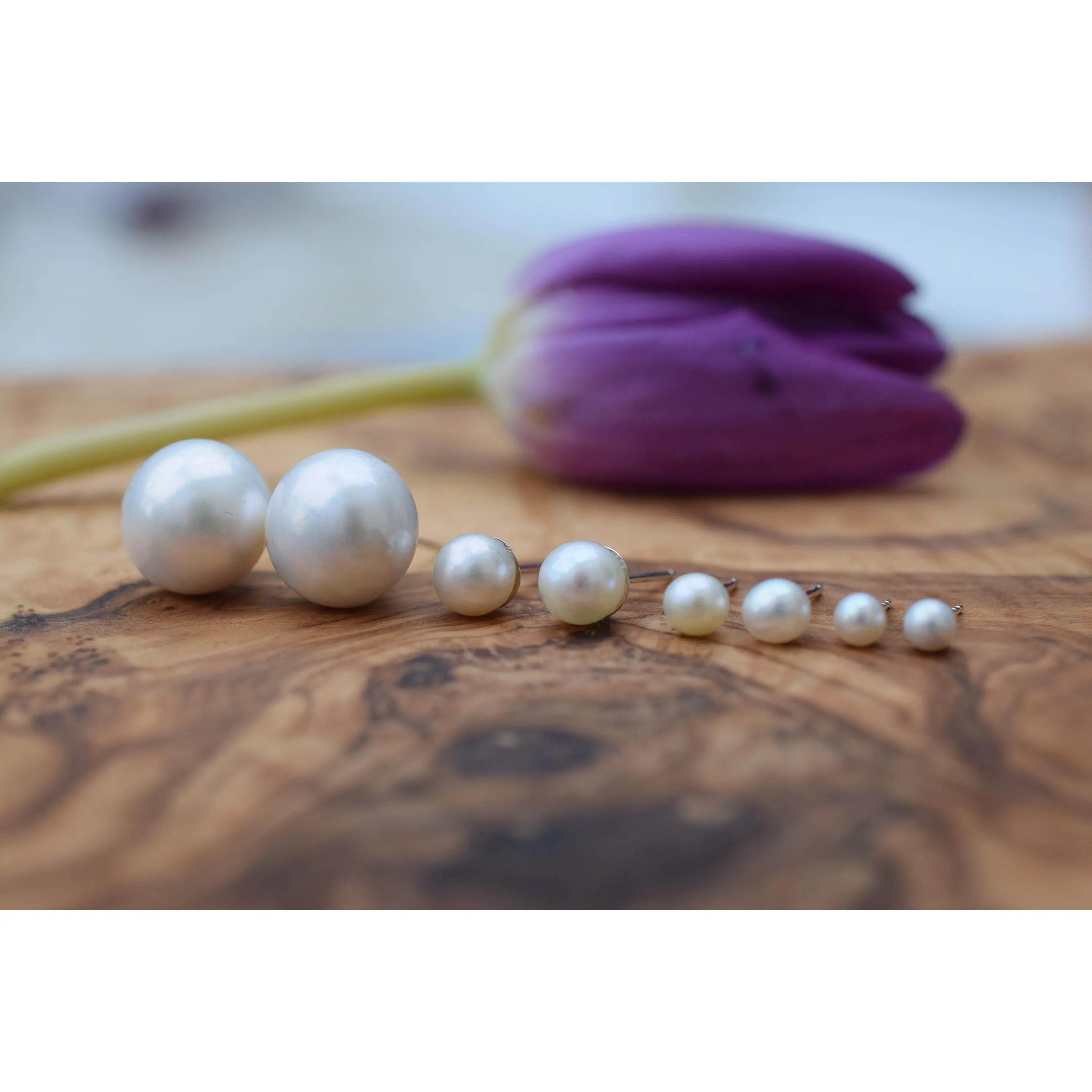 White Freshwater Pearl Stud Earrings in Sterling Silver