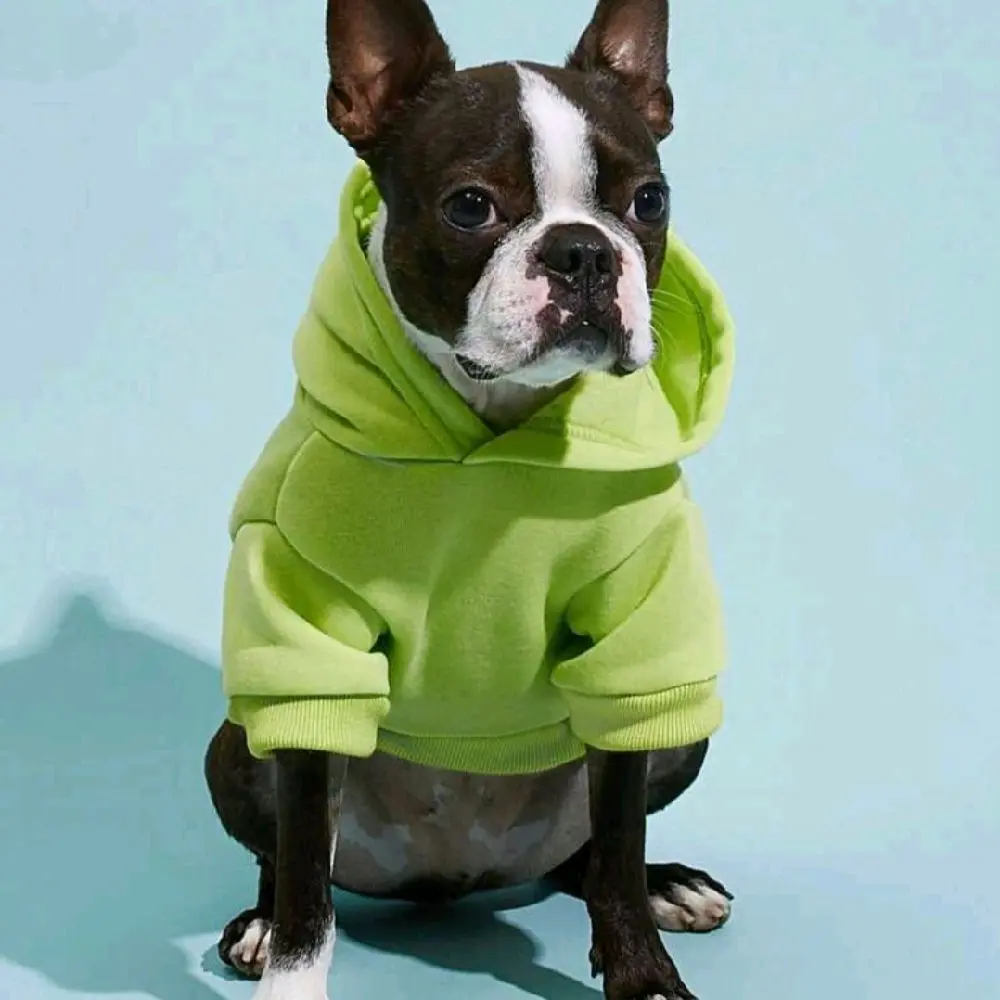 Mint Green Dog Hooded Sweatshirt, Soft and Stretchy - Perfect for Outdoor Activities