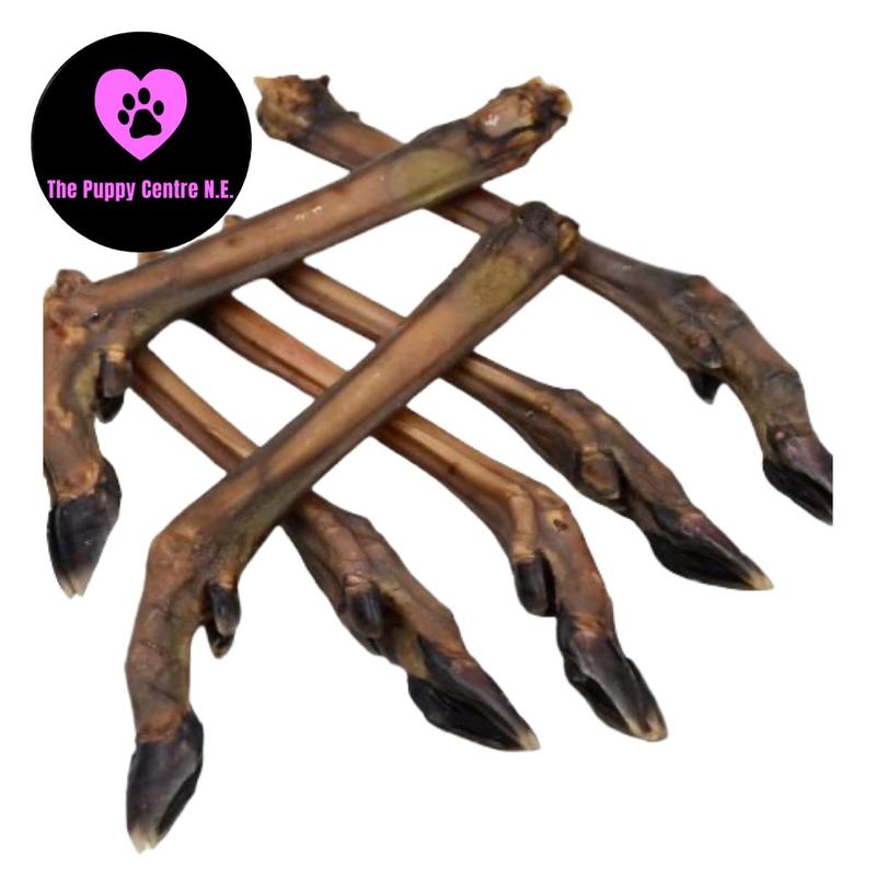 Roe Deer Leg Natural Dog Treat / Hairless / Dental Chew 1