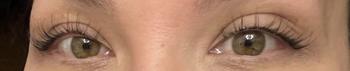 Product Review of Luxury pre mapped & pre glued lashes. Self adhesive- ready to apply direct from the tray! 3 complete sets of different natural styles with a clear glue band for a more subtle look! Please add tweezers to your order from M**y 0