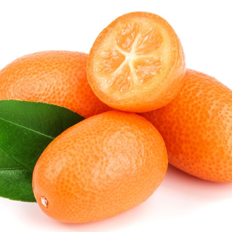 Kumquat - Tangy Citrus Fruits - My Exotic Fruit 1