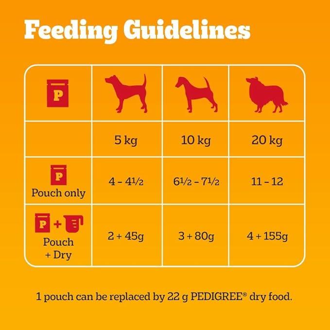 Product Introduction of Mixed Selection in Jelly 40 Pouches, Adult Wet Dog Food, Megapack (40 x 100 g) 4