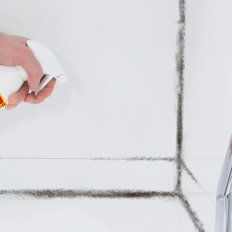 HG Mould Spray 500ml Bathroom Toilet Mould Cleaner Eliminates All Moulds, Making Filthy Black Stains Disappear Suitable For Tiles, Silicon Seals, Plaster Household Cleaning 7