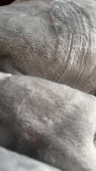 Product Review of Ultra Soft Double Layer Electric Heated Throw Blanket with Adjustable Heat Settings & Overheat Protection by OLIVIA ROCCO from u**9 0