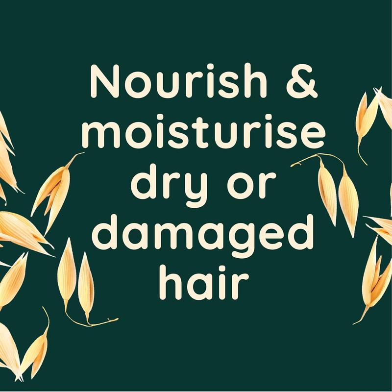 Product Introduction of Aveeno hydrating oat milk scalp soothing shampoo for dry hair 300ml Moisturizing Haircare Conditioner Moisture Cleanser Cleansing Comfort Moisturizer Hydrate Blend Gentle 5