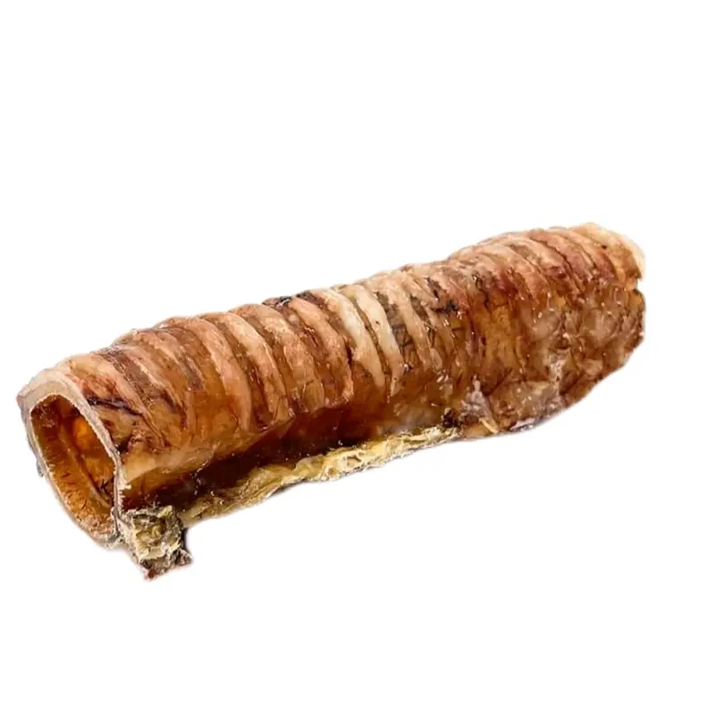 Beef trachea