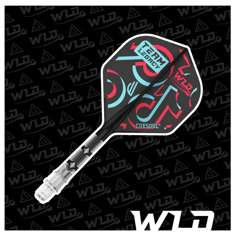 WLD TikTok Limited Edition T19 Cuesoul Darts Set with All In One Flights - Let's Play Darts Range 2