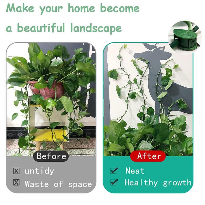 10PCS Climbing Plant Wall Clips Invisible Fixture Hook Clip Vine Sticky Vines NEW 5