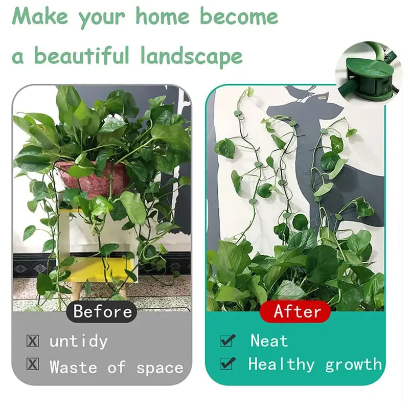 10PCS Climbing Plant Wall Clips Invisible Fixture Hook Clip Vine Sticky Vines NEW 5