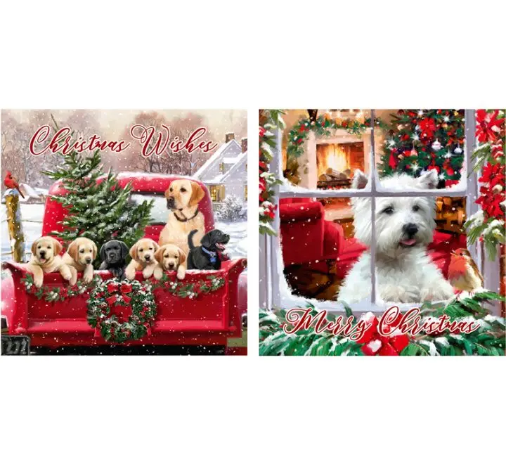 Christmas Cards 12 Pack Santa Cards Snow Scene Luxury Traditional Christmas cards 2 Design 1