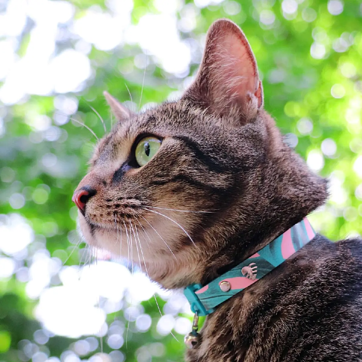 Kittyrama Botanicals Monstera Cat Collar - Quick Release, Breakaway, Hypoallergenic