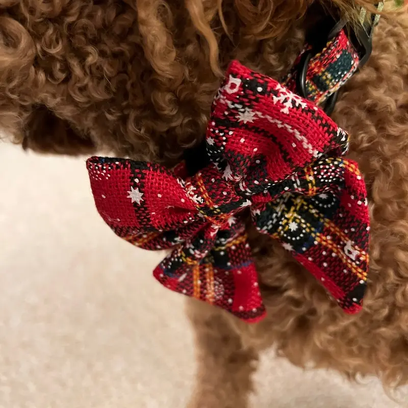 Bew Dogs Tartan Collar and Bow Set for Dogs and Cats - XS to XL Sizes Available 3