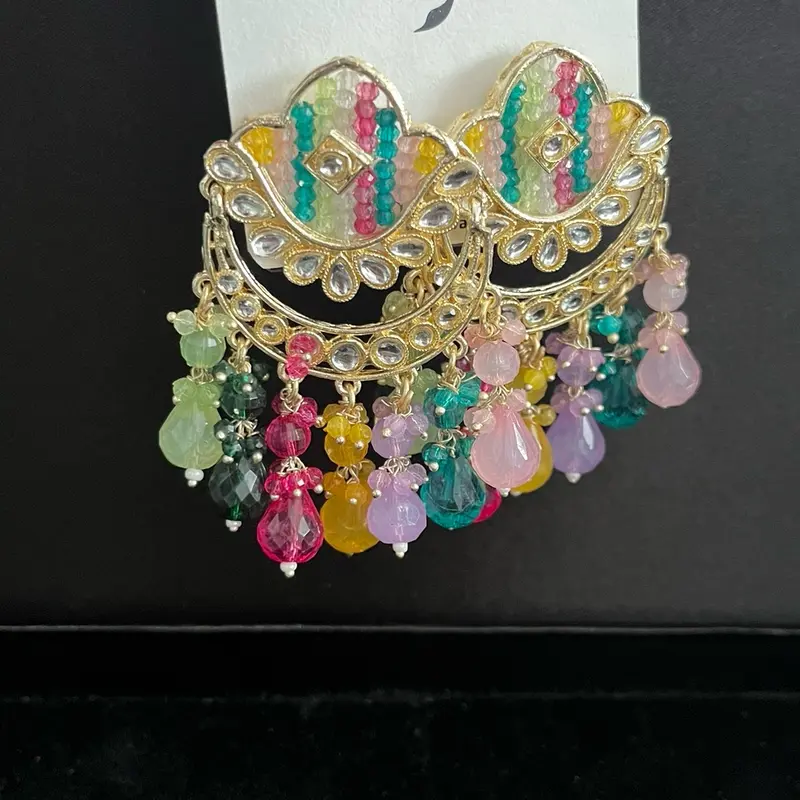 Multi Coloured Earrings 1