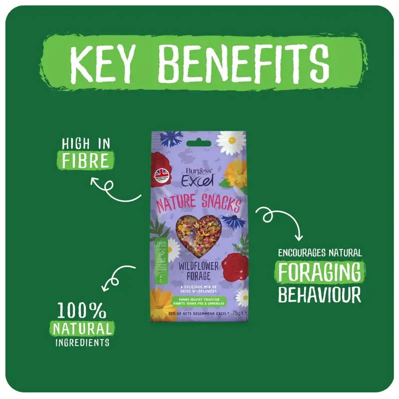 Burgess Excel Nature Snacks Forage Mixes for Small Pets - Botanical Mixes for Rabbits, Guinea Pigs and Chinchillas rabbit treats 3