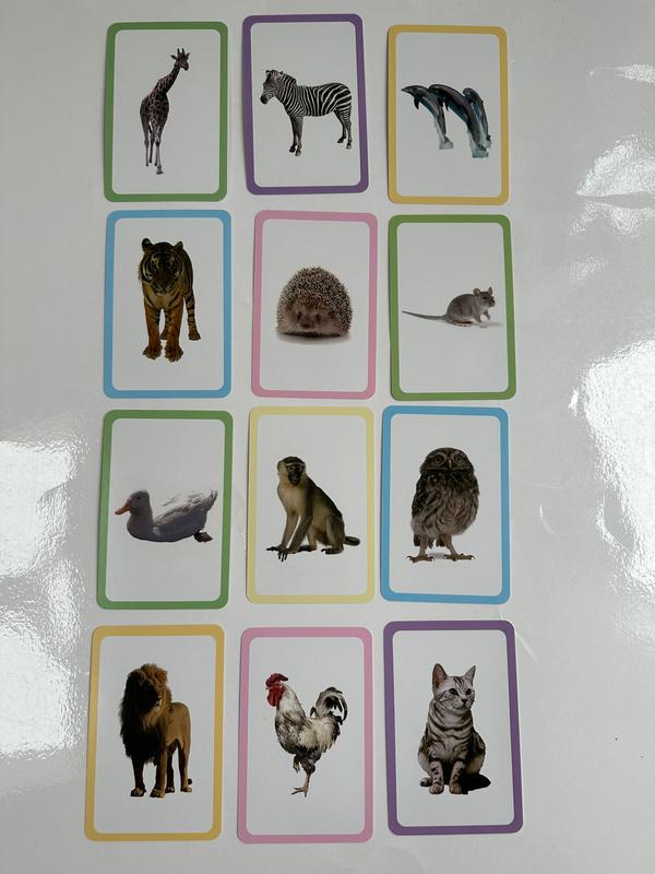 Early Educational Toys Children Cognition Cards Double Side Flash Cards, Baby Kids Montessori Gifts (Animals) 3