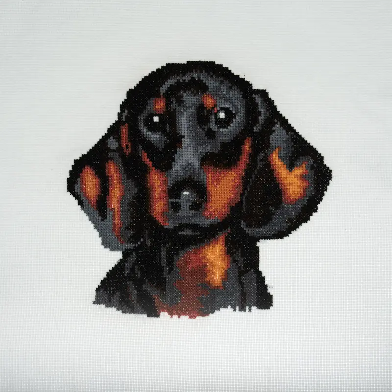 Trimits Counted Cross Stitch Kit Ð Large: Dachshund, 36x36cm, Includes Aida Fabric, Pre-Sorted Threads, Needle, Personalizing Alphabet, Instructions in English, French, German 2
