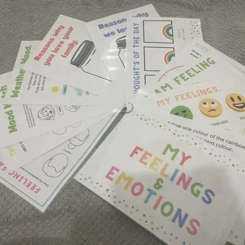 Feelings and emotions work book 5