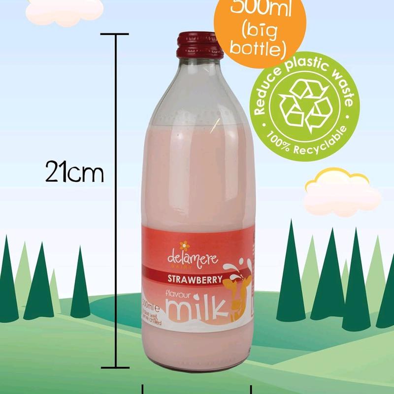 DELAMARE Flavoured Milk 500ml x 6 (6 Pack) - 6 Different Flavours Available - Milk flavoured Beverage 2