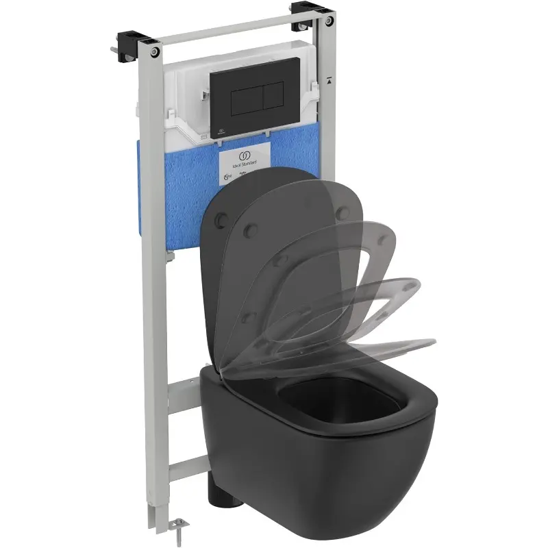 Solea P2 Pneumatic Toilet Flush Plate, R0110A6, Black 1
