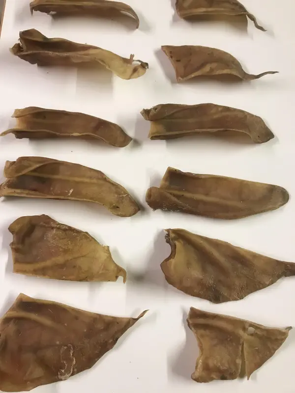 50 Pack Grade A Half-Cut Pig's Ears for Dogs - Natural, Preservative-Free Dog Treats 1