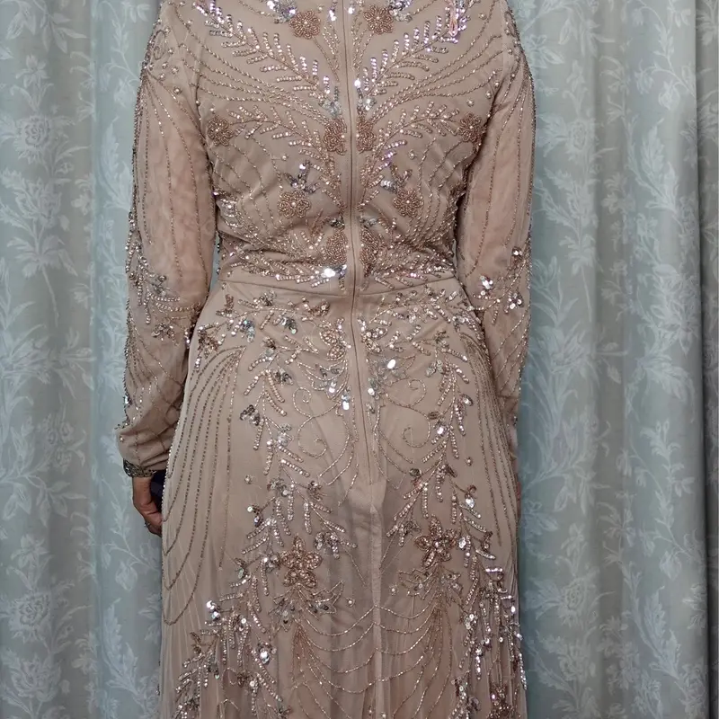 Aisha Embellished Sequin Dress Taupe Blush  Occasional Evening Wear 5