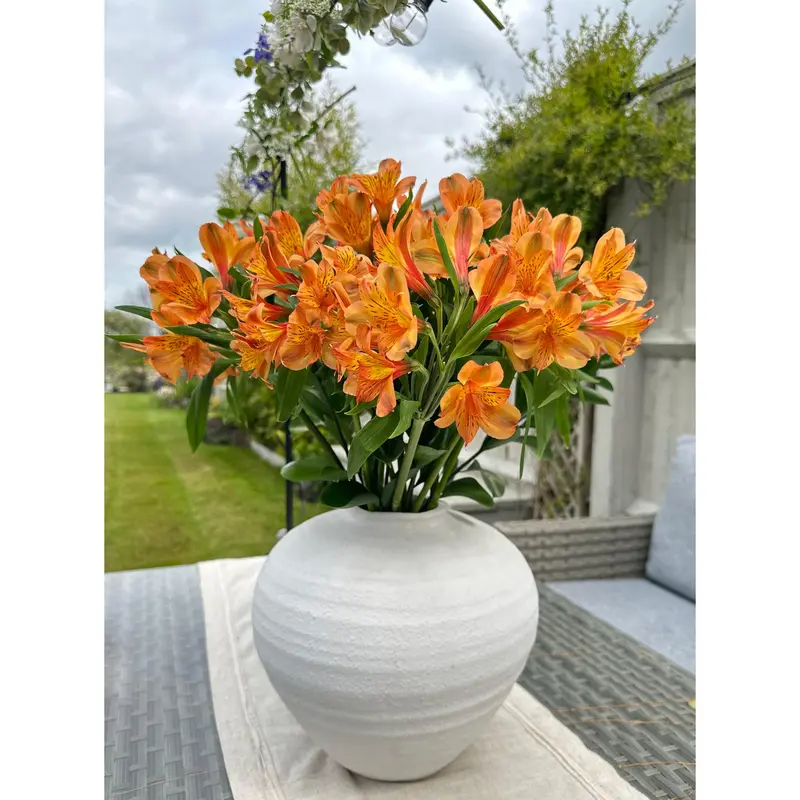 Orange Alstroemeria Bouquet - Floralty Collection - Bigger Flower Bouquets - Fresh cut flowers, Decorative, premium gifting 2
