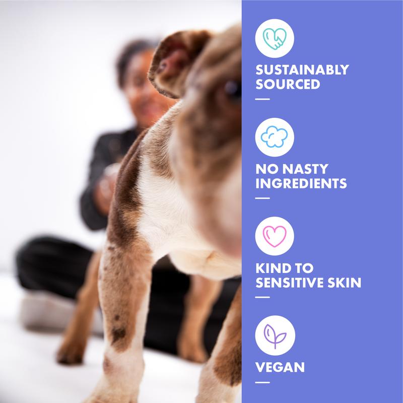 DotDotPet Deshedding Shampoo for Double Coat Dogs | Vegan, Oatmeal & Prebiotic | Sensitive Skin & Calming Scent | 280ml 5