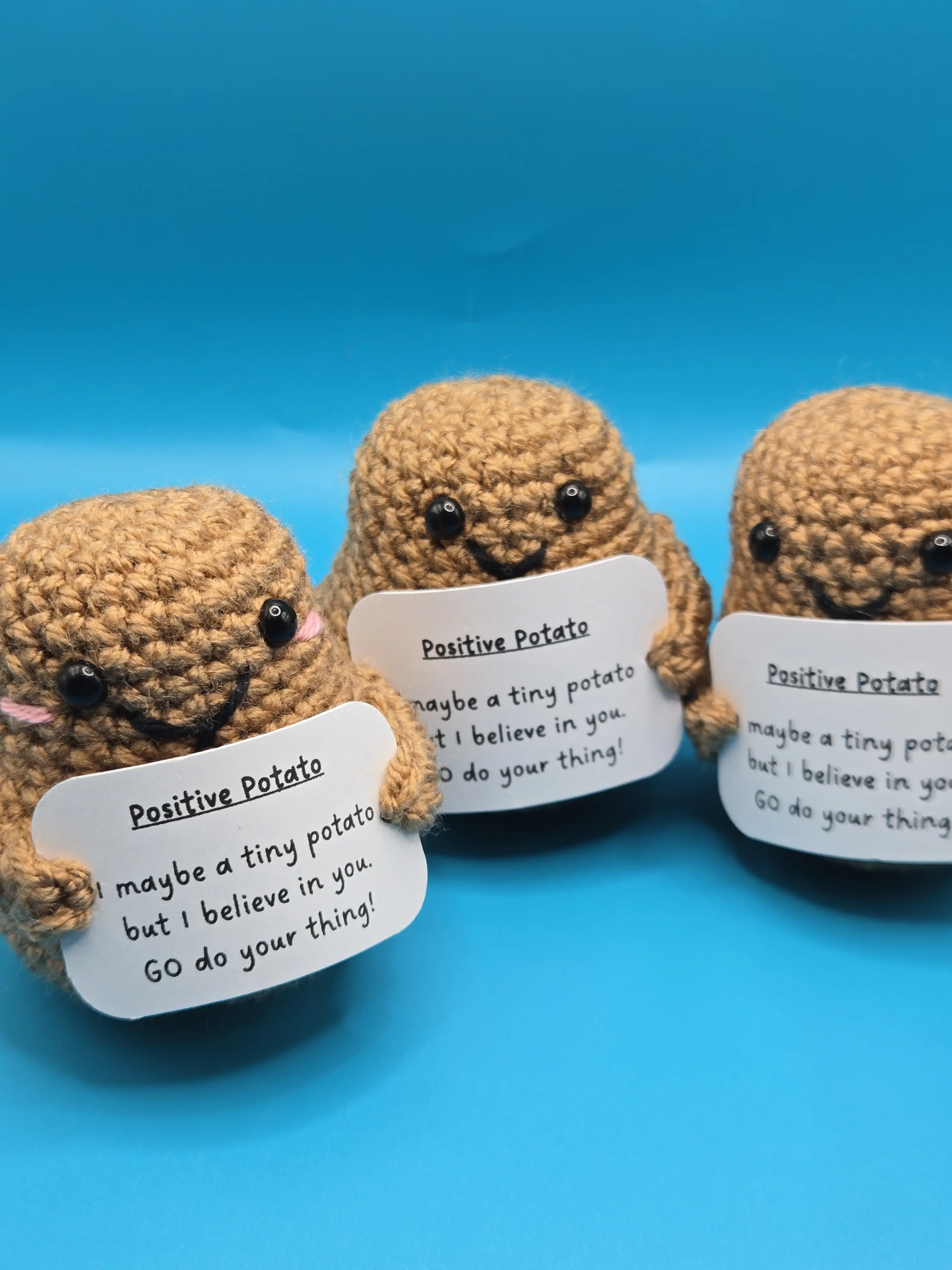 Positive Spud with positive message attached to the potato. Complete with an organza bag.