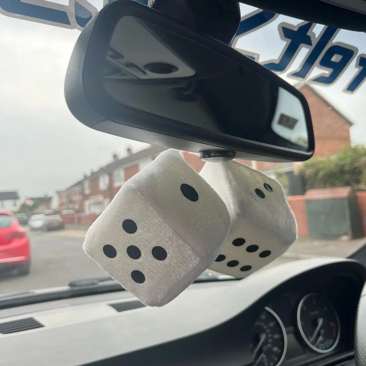 Fluffy Dice