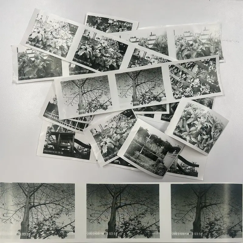 【UK SELLER Delivered with in 48H】Thermal Paper Roll, 5 Rolls Camera Print Paper Non-Adhesive Camera Printer Paper Mini Creator Camera Refill Paper Roll Bill Receipt Printing Paper Rolls for Kids Instant Print Camera 57mm*30mm 6