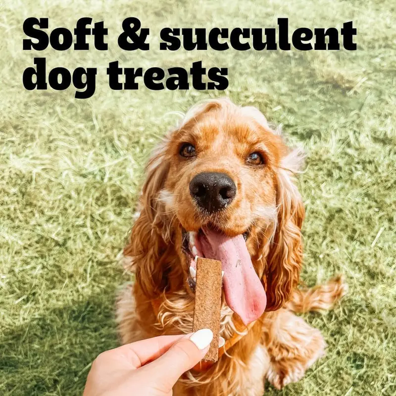 Pedigree Schmackos Mega Pack - 110 Beef-Flavored Dog Treat Strips, Multipack Snacks for Dogs 3