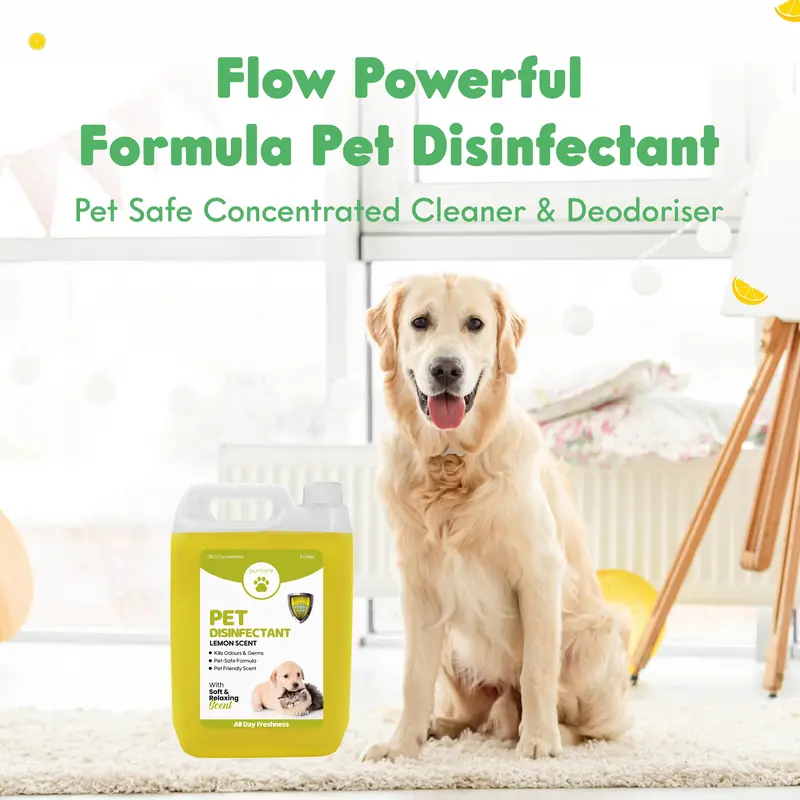 5L Purrcare Pet Disinfectant Lemon Fragrance -Powerful Formula Cleaner, Deodoriser For Kennel, Cattery, Outdoor Surfaces & Artificial Grass-Biodegradable-Dog Safe 1