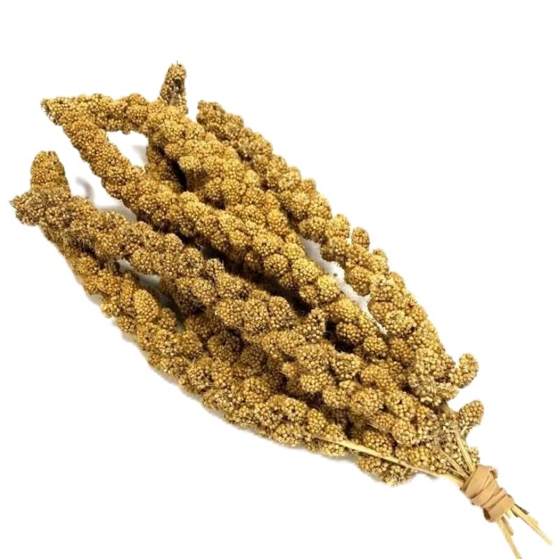 Millet spray 1kg 1
