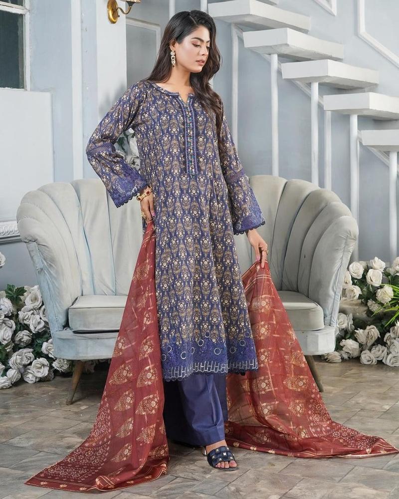 Product Introduction of Munira lawn suits Dress 3