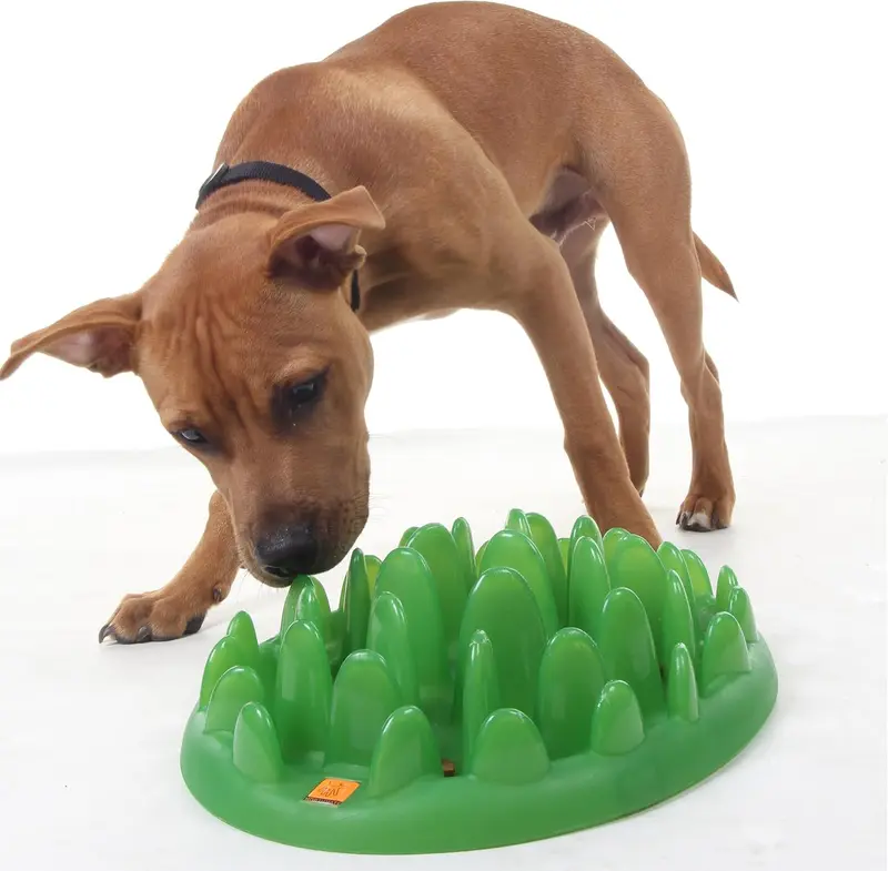 Company of Animals GREEN Mini Slow Interactive Feeder for Dogs, Best Fun Slow Feeder Dog Bowl, Anti-Gulp, Gobble Stopper, Mental Stimulation Dog Puzzle, Suitable for Puppy & Small, Medium & Large Dogs 3