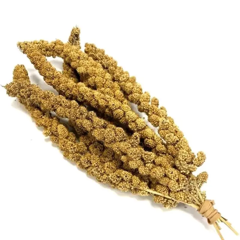 Millet spray 1kg 4