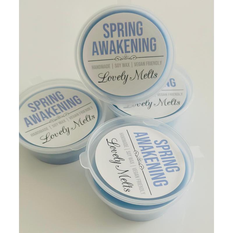 SPRING AWAKENING (LAUNDRY) Soy Wax Melts 2