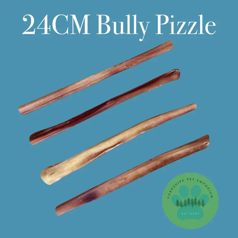 24cm Pizzle Dog Chews (Bully Stick) - Long Lasting